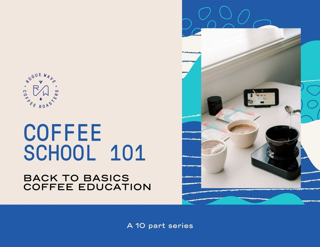 Coffee School 101 - Rogue Wave Coffee